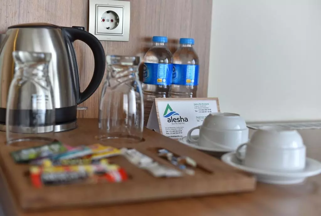 hotel alesha suite trabzon_shabavizparvaz_02.jpg